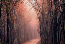 意甲单场:击败维罗纳 尤文图斯取得联赛五连胜.