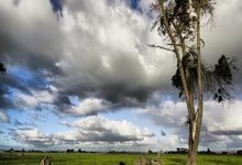 虎扑:赛车——F1中国大奖赛:排位赛赛况.