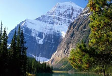 虎扑:羽毛球奥运冠军安赛龙:有机会想在杭州品茶 尽情享受中国新闻网.