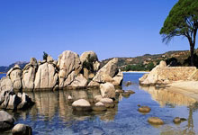 唇语专家何在?解读廷贝尔和马雷斯卡说了些啥.